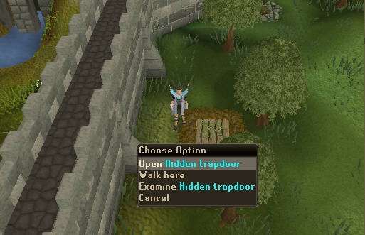 Hidden Trapdoor