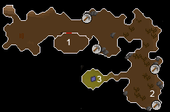 The Basement