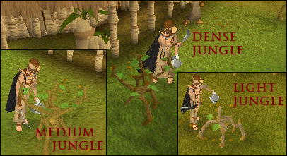 Types of jungle