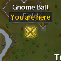 Gnome Ball Field