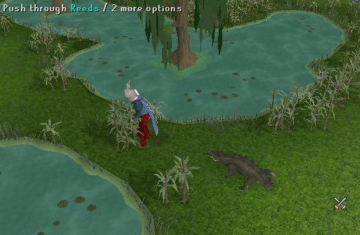 Reeds