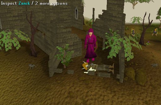 Dead Zanik