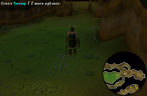 Swamp