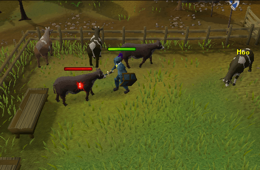 Cows