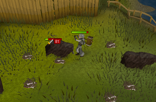Yaks