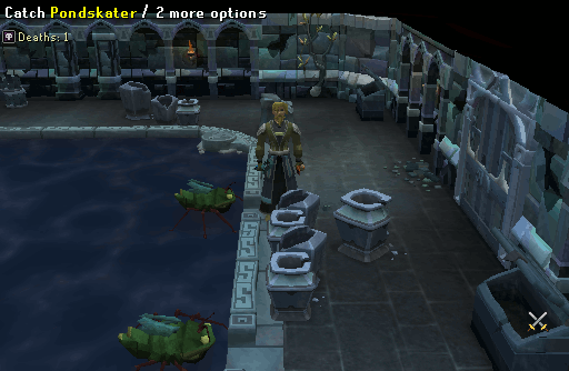 Pondskaters puzzle room