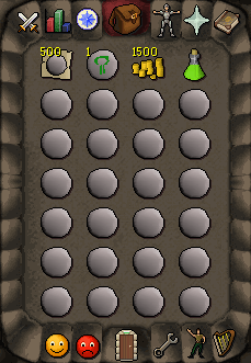 bag
