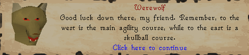 Agility Course
