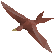 Crimson Swift