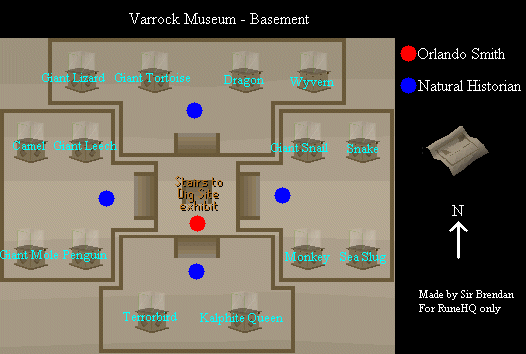 Basement floor