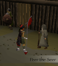 Peer