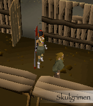 Skulgrimen