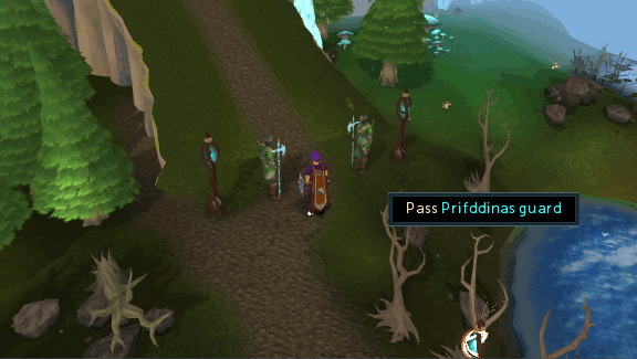 Prifddinas Guards