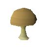 Bittercap mushroom