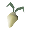 Evil turnip