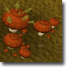Spiked Mushrooms