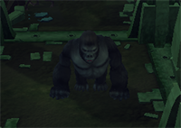 Gorilla