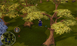 Ranging Guild