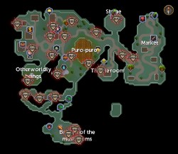 Zanaris scan locations