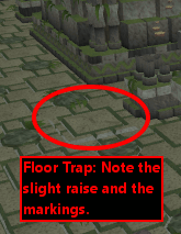 Floor Trap
