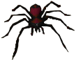 Poison spider