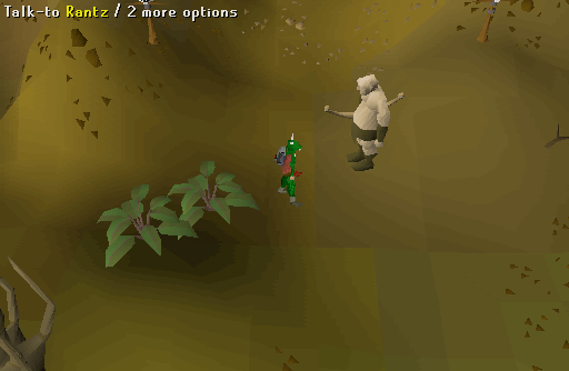 Big Chompy Bird Hunting Ironman Speedrun