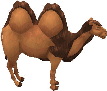 Al the Camel