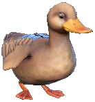 person Image