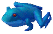 Blue Frog Image