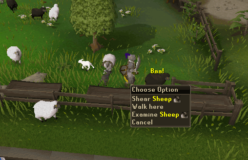 Shearing The Sheep