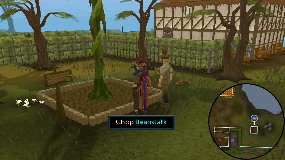 Chop Beanstalk