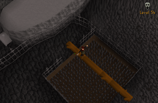 Wilderness Agility Course