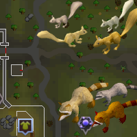 Squirrel and Raccoon East Varrock