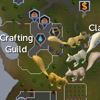 Squirrel and Raccoon South West Falador
