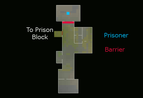 Forgotten Prisoner